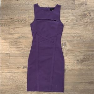 Purple bodycon mini dress
